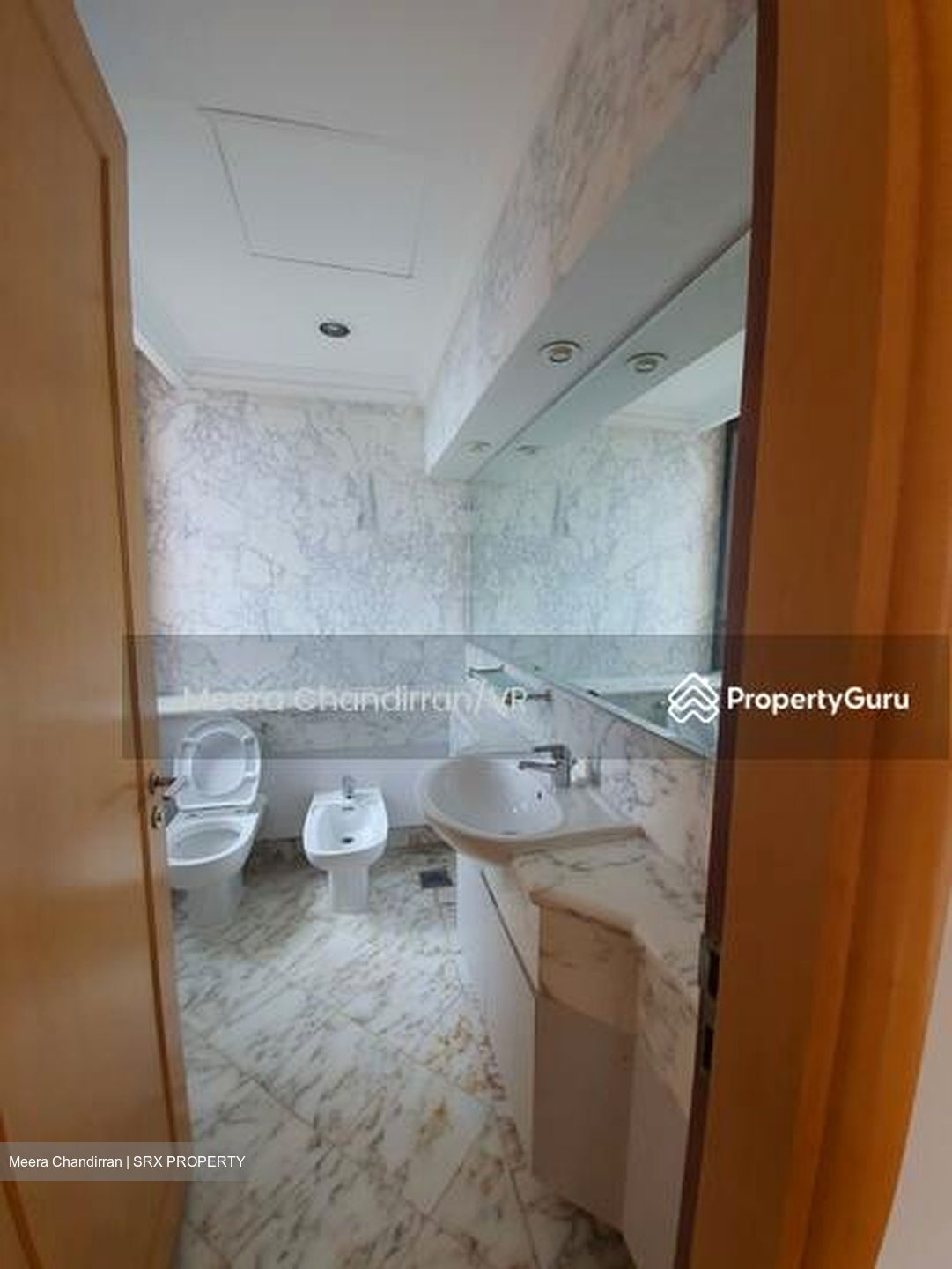 Four Seasons Park (D10), Condominium #453201481